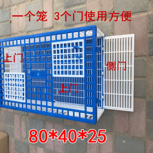 Pigeon equipment/flying cage/training cage/reporting cage/carriage pigeon plastic cage/pigeon cage/carriage pigeon cage/direct sales