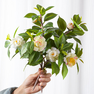 ���滨�軨 �͏d�҃����ҽ����ٻ��ܲ廨�Ҿ��b�ˇƷ�[���[�O