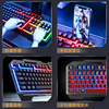 Gaming mute mechanical keyboard, laptop suitable for games, wholesale