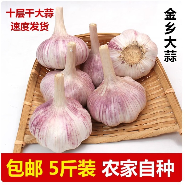 5斤山东紫白皮大蒜5.5到6.5厘米大蒜山东新大蒜头农家自种批发包