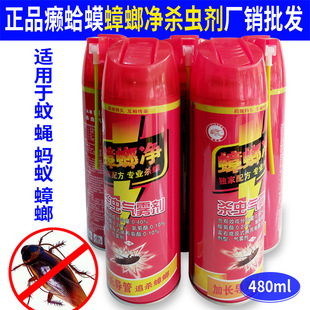 �]�������480��������󹚢���F�� ���L����׷�����S�rֱ�l