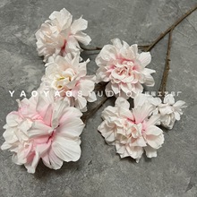 ?ɫϵcĻYõܛbƵ·廨