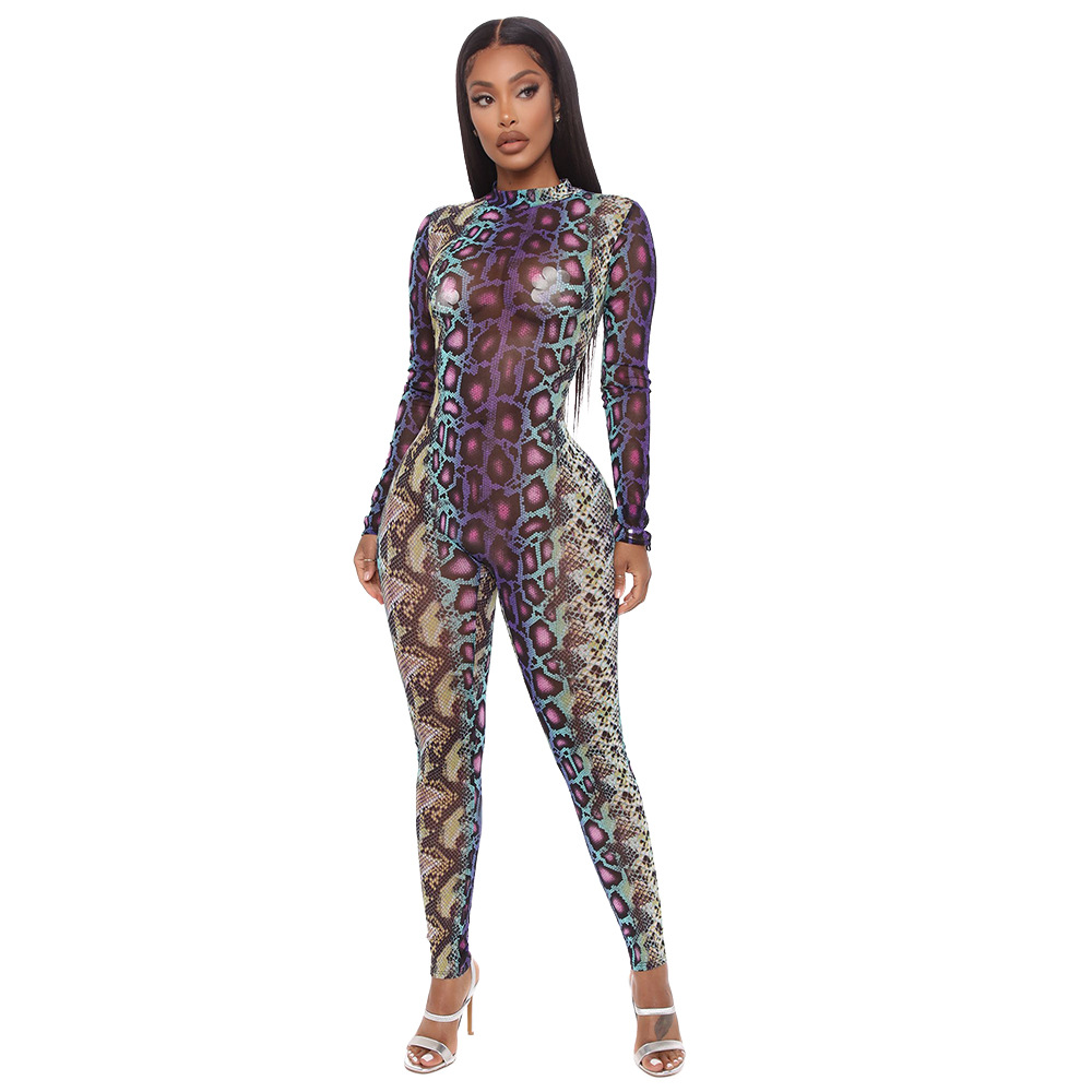 Round Neck Mesh Print Long-Sleeved Jumpsuit NSZH107133