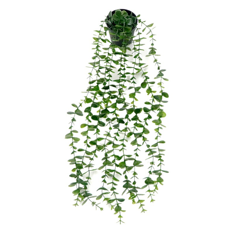 Simulación transfronteriza eucalipto ratán hojas de eucalipto Mandala guisantes colgando maceta planta verde esmerilado bonsai decorativo image 1