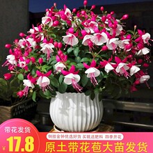 ��ɏ�������Ե�����R������R���҃��̨�ļ��_�����\����������