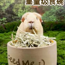 防溅食物碗兔子食盆龙猫荷兰猪豚鼠饲料盒陶瓷兔兔喂食器