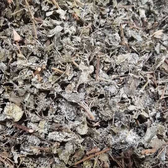 溪黄草藤茶莓茶白藤茶散装便宜酒楼大排档用茶