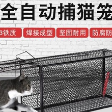 全自动捕猫笼人道救助捉猫笼超市抓猫笼新款抓猫器逮猫神器捕猫器