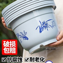 ����������Ϙ�֬�Ӻ����ô�̖��ڏ��Ї��L���бP���l