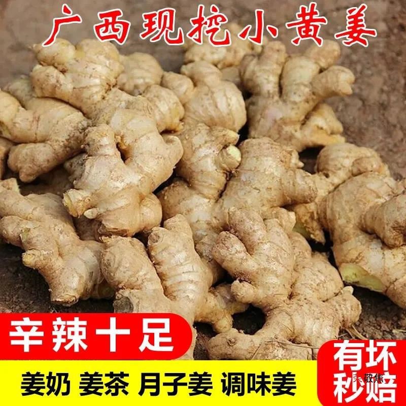 广西小黄姜5斤生姜碎姜新鲜黄姜土姜老姜现挖月子姜鲜姜嫩姜