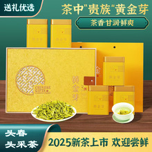 2025新茶安吉白茶原产地奶白黄金芽 奶香鲜爽绿茶茶叶礼盒装250g
