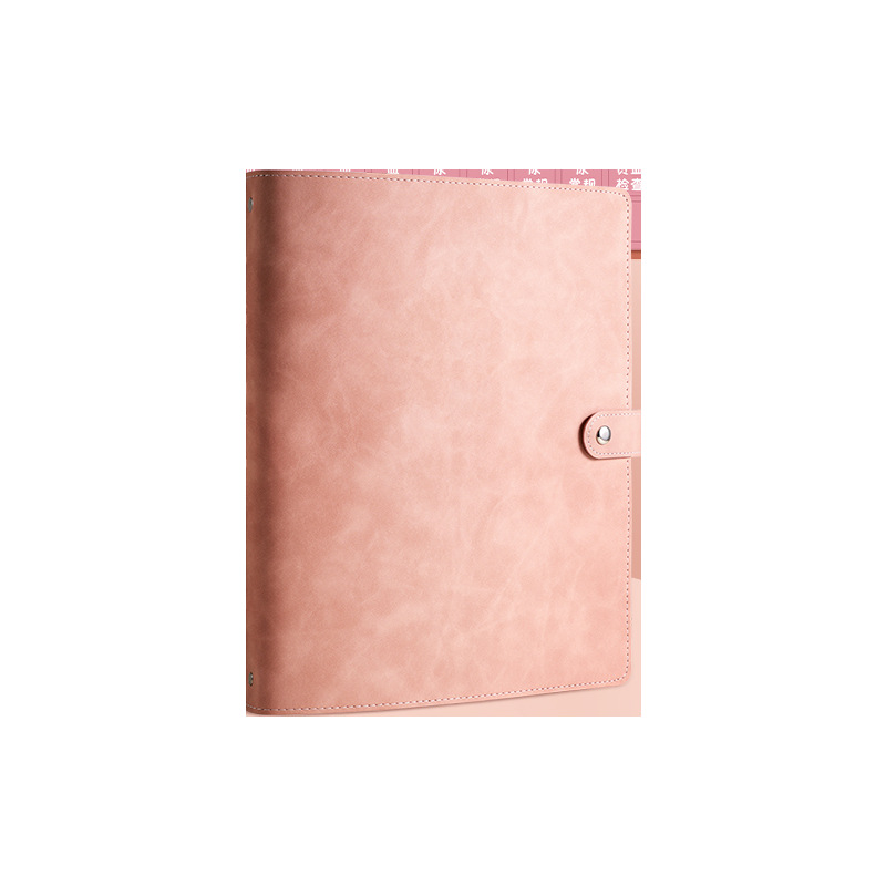 Libro de almacenamiento para chequeos de embarazo, modelo 2026, libro de almacenamiento para ecografías de maternidad, etiquetas adhesivas, carpeta de almacenamiento para informes de chequeos de maternidad.