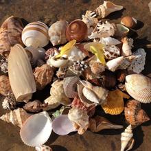 ����Ȼؐ�������ײ;�ؐ�~�ľ�з��Q�������쾰�~��ˮ���b�Ʒ�[