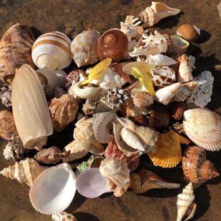 ����Ȼؐ�������ײ;�ؐ�~�ľ�з��Q�������쾰�~��ˮ���b�Ʒ�[