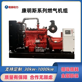 柴油发电机组;燃气发电机组;内燃机