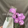 Carnations Gradient Purple