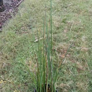 �F���Ĵ��ؑcˮ�[40�ڷ�ˮ�[60�ڷ�ˮ�[80�ڷ�ˮ�[100�ڷ�