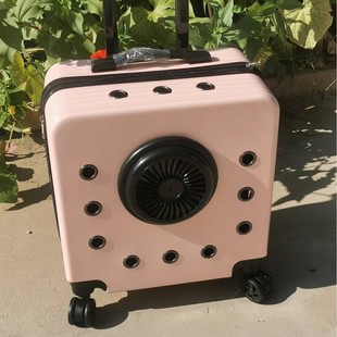 New Large-Capacity Hard-Shell Pet Outing Box Trolley Box Universal Wheel Space Capsule Cat and Dog Pet Box