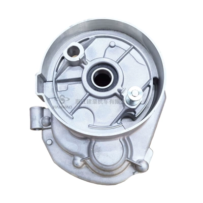 chamber assembly 139QMB, Motorcycle engine and accessories