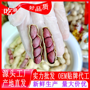 ���S���l�r���¼t�»������������t�»����������ҝ񿾻�����؛