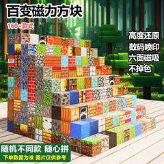私の磁気世界ブロック積み木DIY卓上ゲーム組み立ておもちゃ知育百変磁気吸着