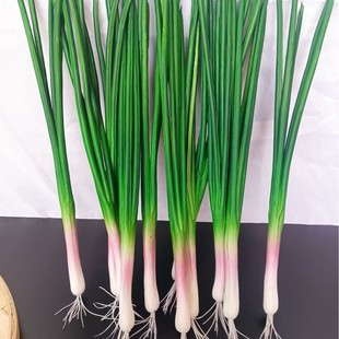 �����[�ٴ��[ģ���߲˰ײ�����}�������S�Ϸ����߲���̴�����