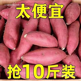 �����t�������r�F��10�ﮔ��ɽ������ɳ�����ϼt���عϷ���5����