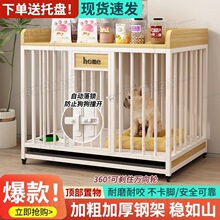 ���\�Ӵ���Ȯ����������Ȯ���\�҃Ƚ�ë��������Ӵּӹ̌��ﹷ�\