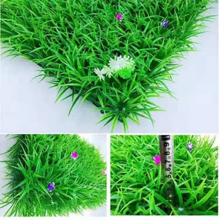 �Gֲ������ֲ��b����������ȼ���ֲ�����ϼٲ�ƺ��Ƥ�̨