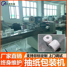 卷纸枕式包装机 热烫方形抽纸纸巾湿巾套袋机全自动卫生纸包装机
