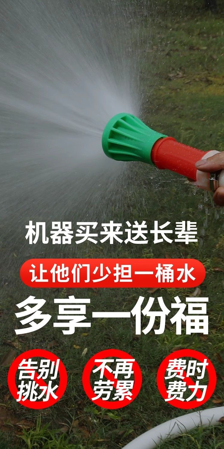 Imported Four-Stroke Gasoline Water Pump, Gasoline Pump, Irrigation, Agricultural Four-Stroke Lift, Small Watering