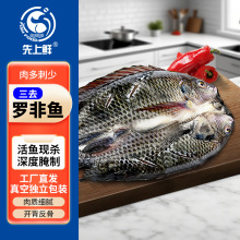 【江浙沪皖】开背罗非鱼新鲜冷冻烤鱼深度腌制上商用一整箱批发