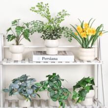 �羳�͏d�k��������پGֲ�b[���߼��б���ٻ����滨��������