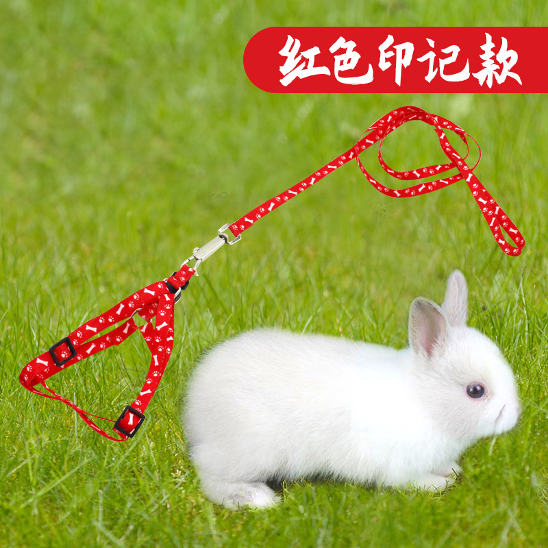 Cuerda de tracción de conejo antideslizante suministros de conejo enano anti-rotura ajustable cadena especial mascota conejo cuerda telescópica