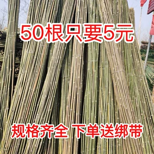 [竹竿菜园搭架竹子户外旗杆黄瓜豆角爬藤菜架竹杆支架豇豆搭架杆]