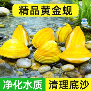 �S��͘���w��ˮ��ˮ������ˮ���幤���~�^�p�Ӱ�С���~���^�p�~