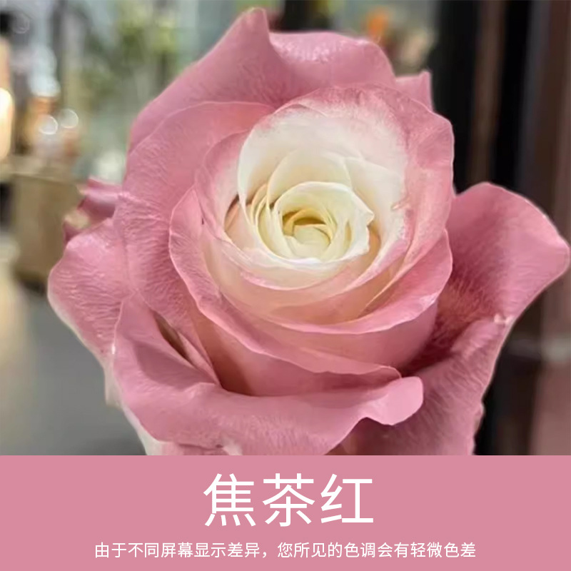 Material de embalaje de flores frescas Agente de tinción en aerosol de flores secas Salsa de ciruela negra Pintura en aerosol de flores Pintura en aerosol de flores Agente de color de flores