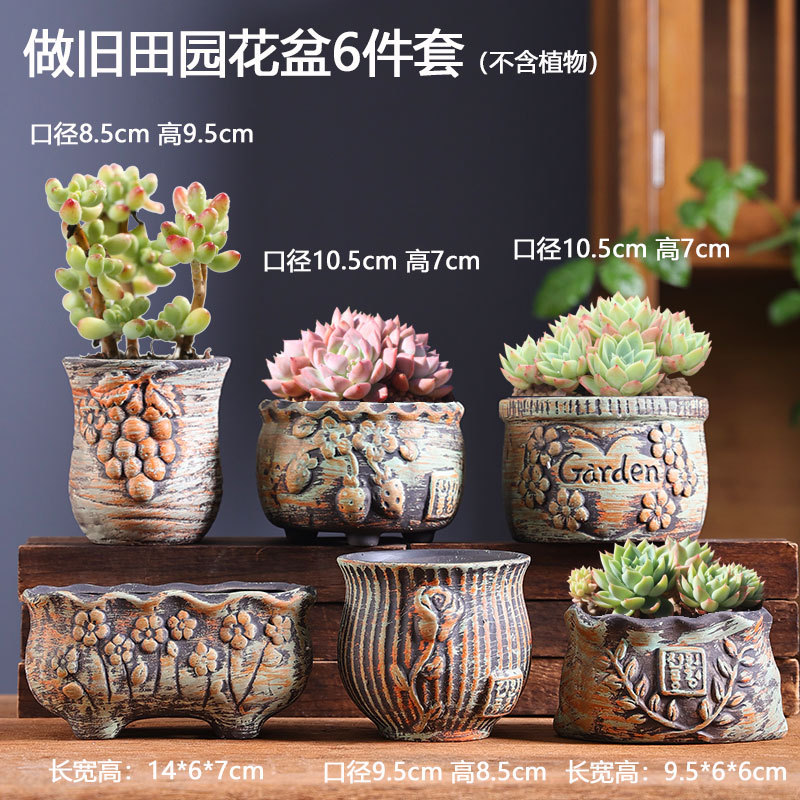 Macetas suculentas oferta especial maceta de cerámica creativa para plantas de carne liquidación venta al por mayor maceta de cerámica directa de fábrica