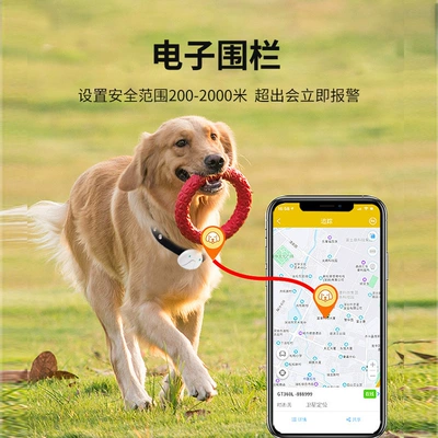 Anti-lost, GPS Locator
