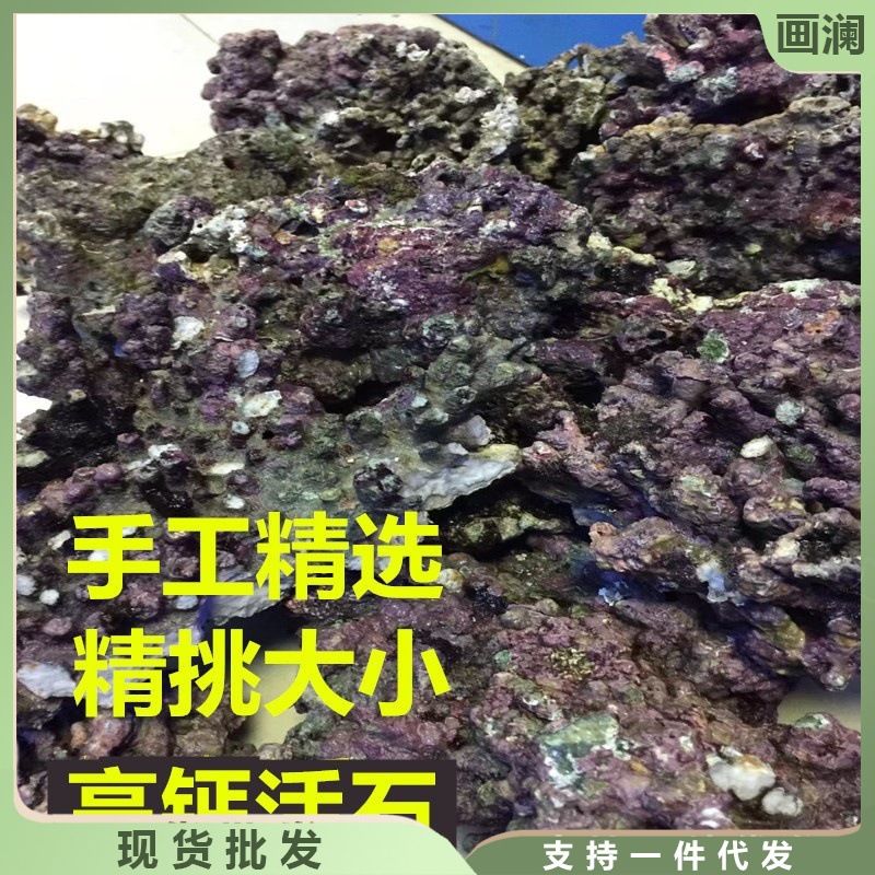 免爆藻石活石新鲜高钙深海片状海水过滤鱼缸珊瑚缸多孔生物造景石