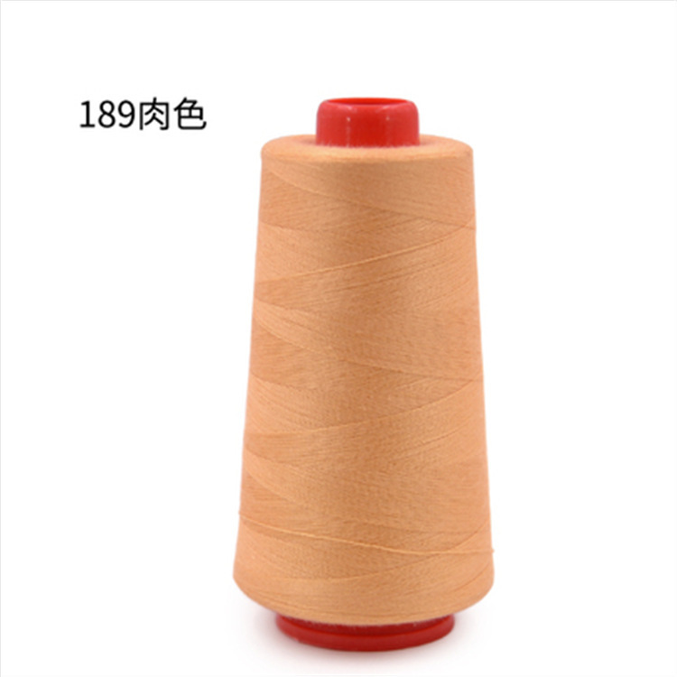 딥 샴페인 189 살색