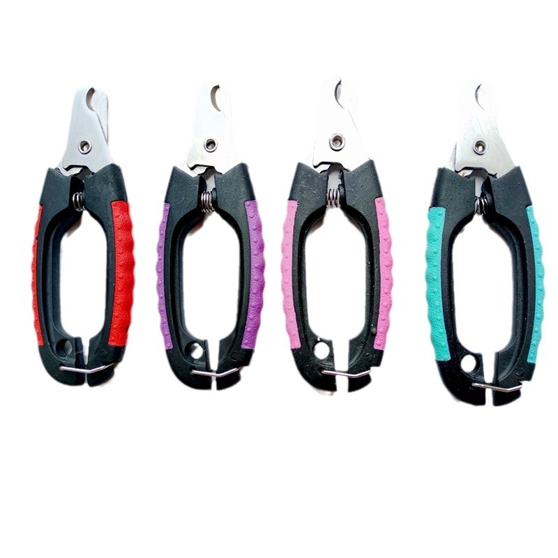 2024-03-11 19:41:42.jpg