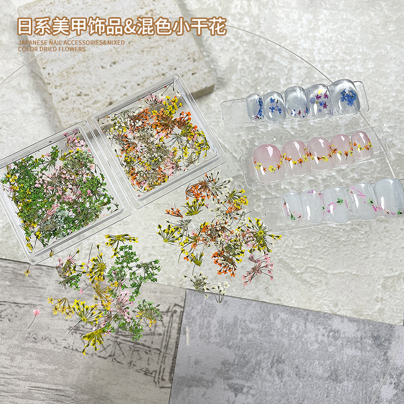 Hot Japanese Ins Style New Nail Art Jewelry Oil Painting Mixed Color DIY Dried Flower Floral Boxed Nail Art Jewelry