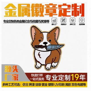 工厂定制金属徽章pin 二次元动漫校徽纪念卡通仿珐琅烤漆金属徽章