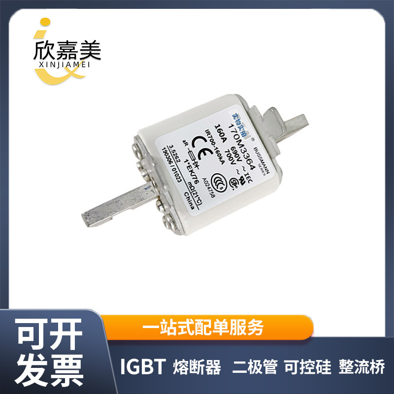 170M3364  170M3365  快速熔断器  电子元器件 型号齐全 量大价优