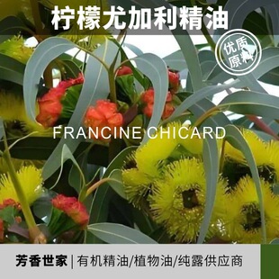 ���������e�������������ȼ������~������޹����Ժԭ�����l