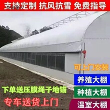 养殖大棚全套大棚骨架家用温室种植棚专业养鸡棚羊棚牛棚养麦太保