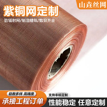 紫铜丝网整卷现货导电散热铜网电磁信号屏蔽过滤接地铜丝网片