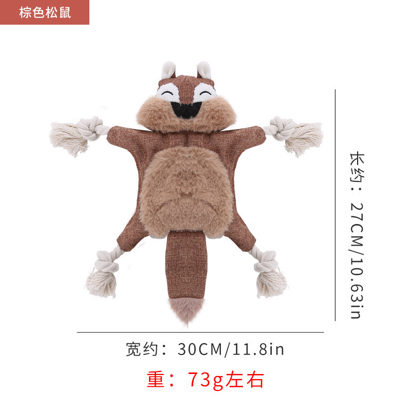 갈색 다람쥐