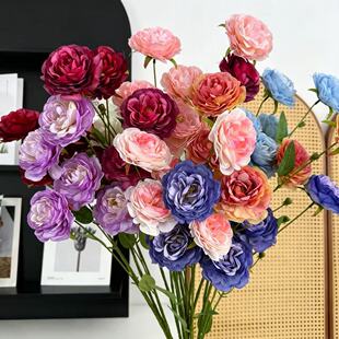 5�^��¶��c���滨�������û�Y�üٻ����Ż�diu����ܛ�b��ˇ�廨